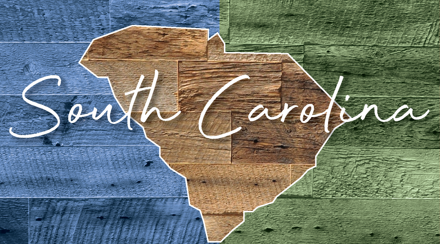 TRAVEL CRAZEE - SOUTH CAROLINA