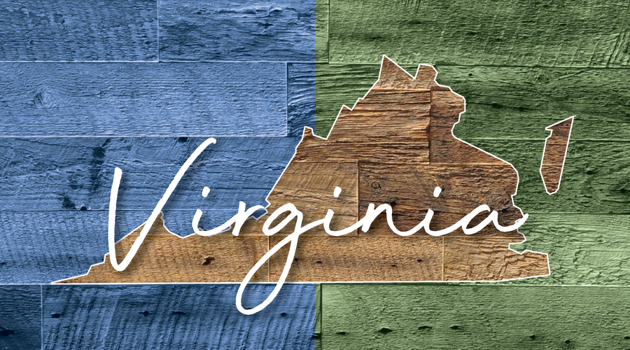 TRAVEL CRAZEE - VIRGINIA