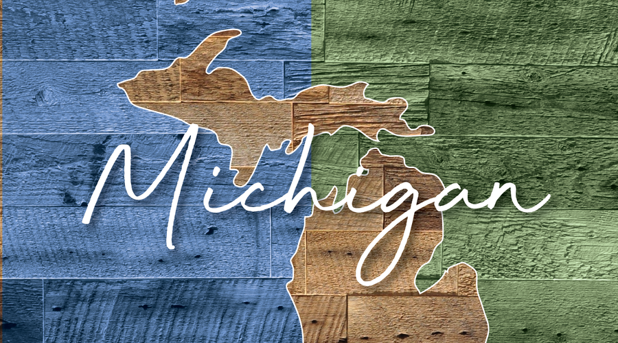 TRAVEL CRAZEE - MICHIGAN
