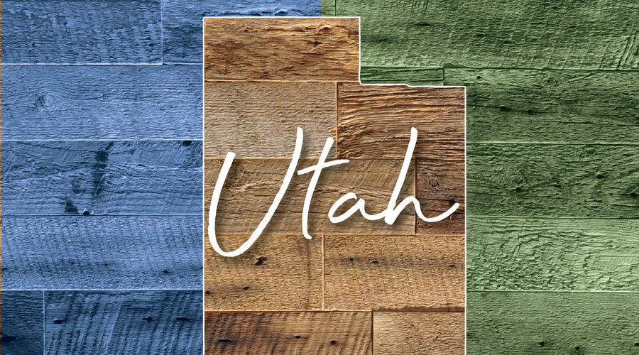 TRAVEL CRAZEE - UTAH