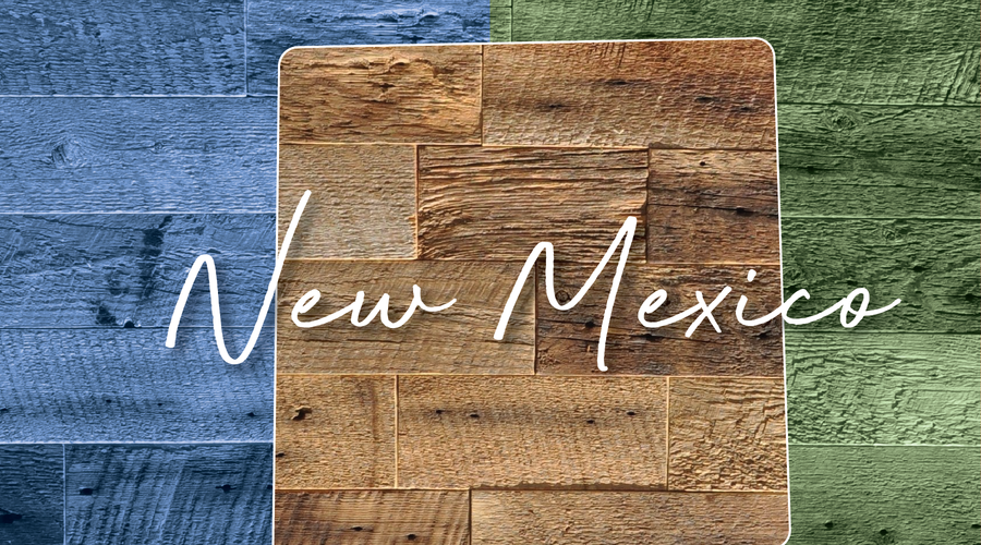 TRAVEL CRAZEE - NEW MEXICO