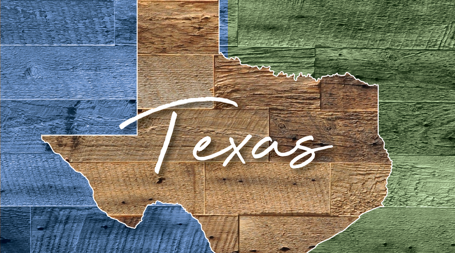 TRAVEL CRAZEE - TEXAS