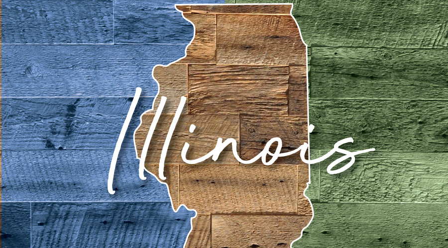 TRAVEL CRAZEE - ILLINOIS