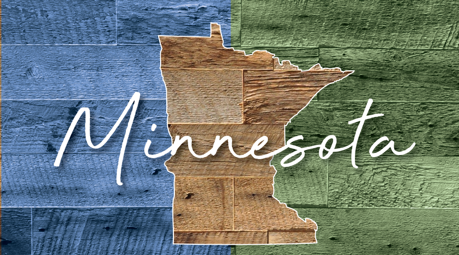 TRAVEL CRAZEE - MINNESOTA