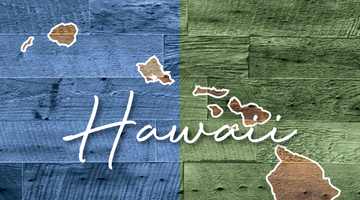 TRAVEL CRAZEE - HAWAII